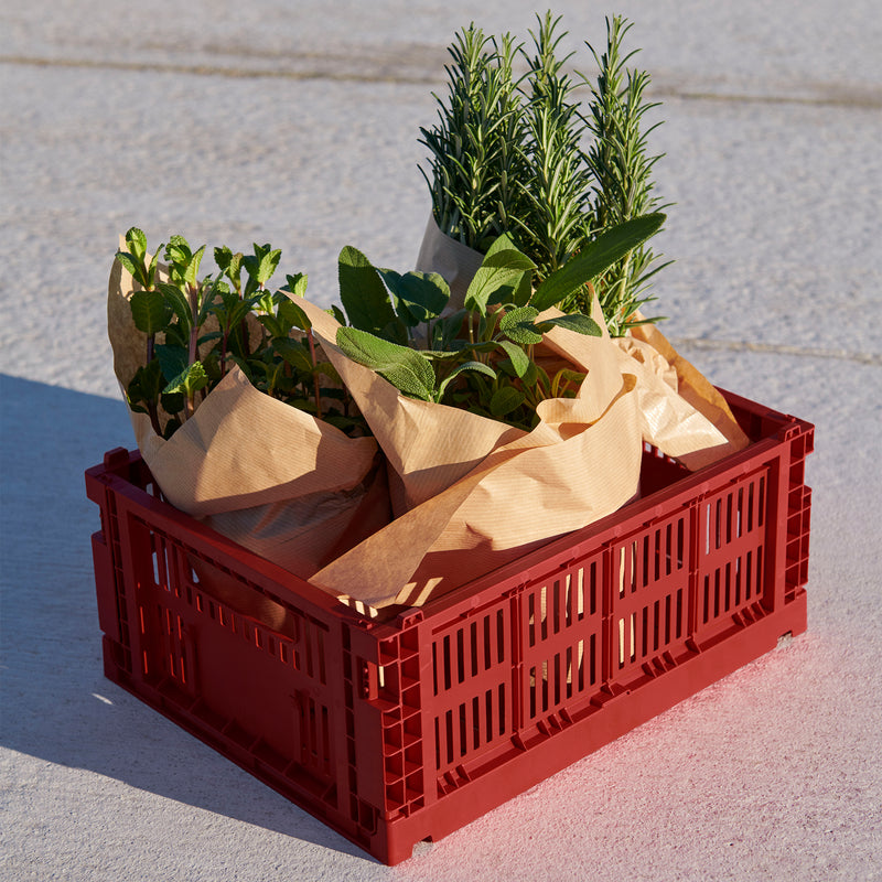 HAY - Colour Crate Korb-Set, burgundy (Exclusive Edition) | M