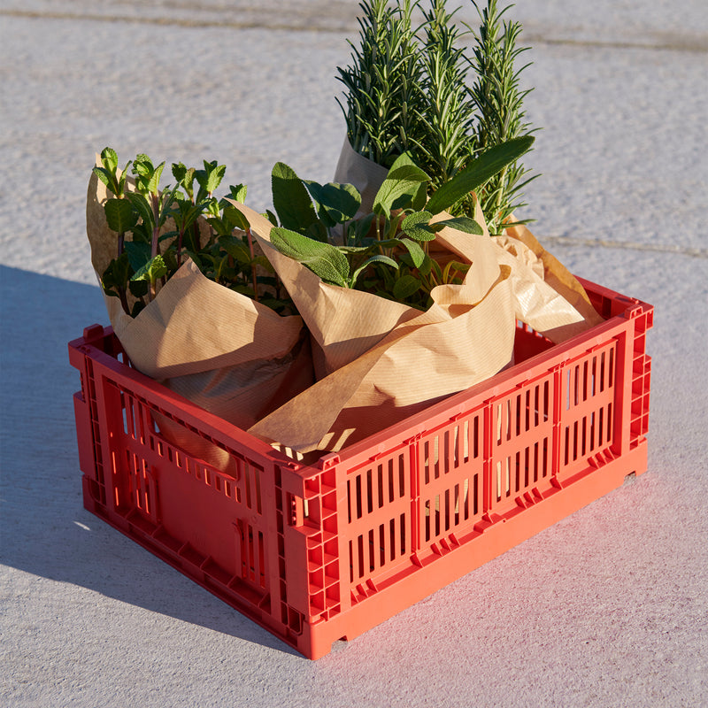HAY - Colour Crate Korb M + S