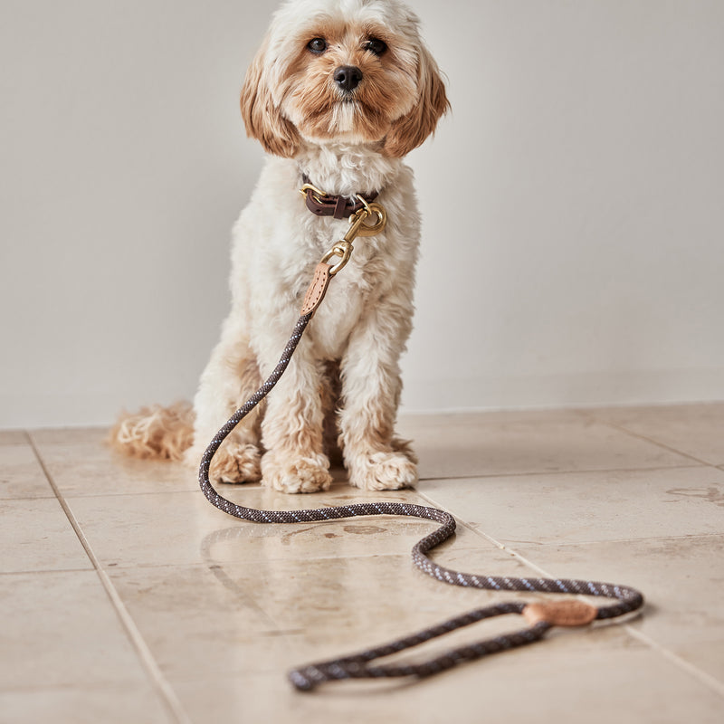 OYOY - Perry Hundehalsband