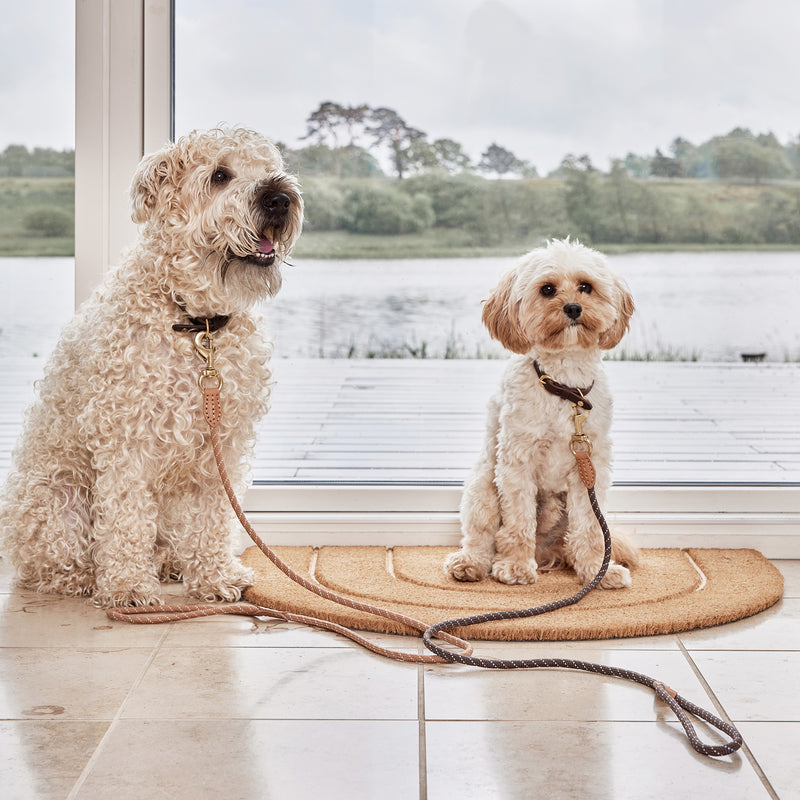 OYOY - Perry Hundeleine